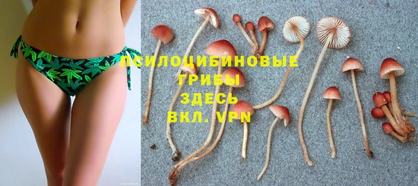 гидра Аркадак