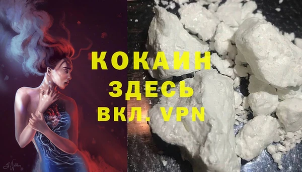 гидра Аркадак