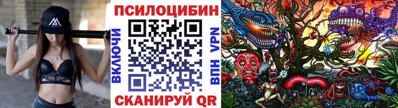 купить наркотики сайты  Баймак  Галлюциногенные грибы MAGIC MUSHROOMS 